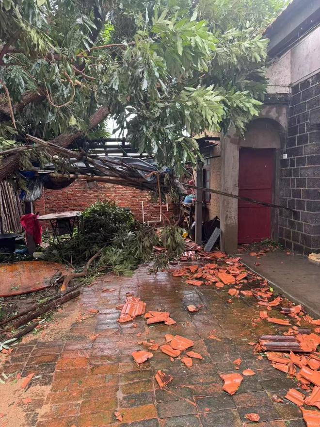 “摩羯”过境：中国大陆最南端村庄的风雨一夜 封面深镜(图3)