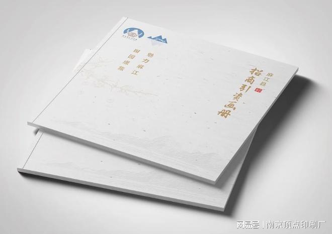 南京商务宣传册设计南京发展规划画册印刷纸制产品印刷定做(图1)